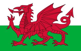 Flag of Wales Author DirectX3